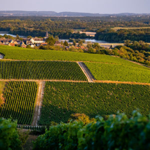 Paysage de vignobles Pouilly-Fumé